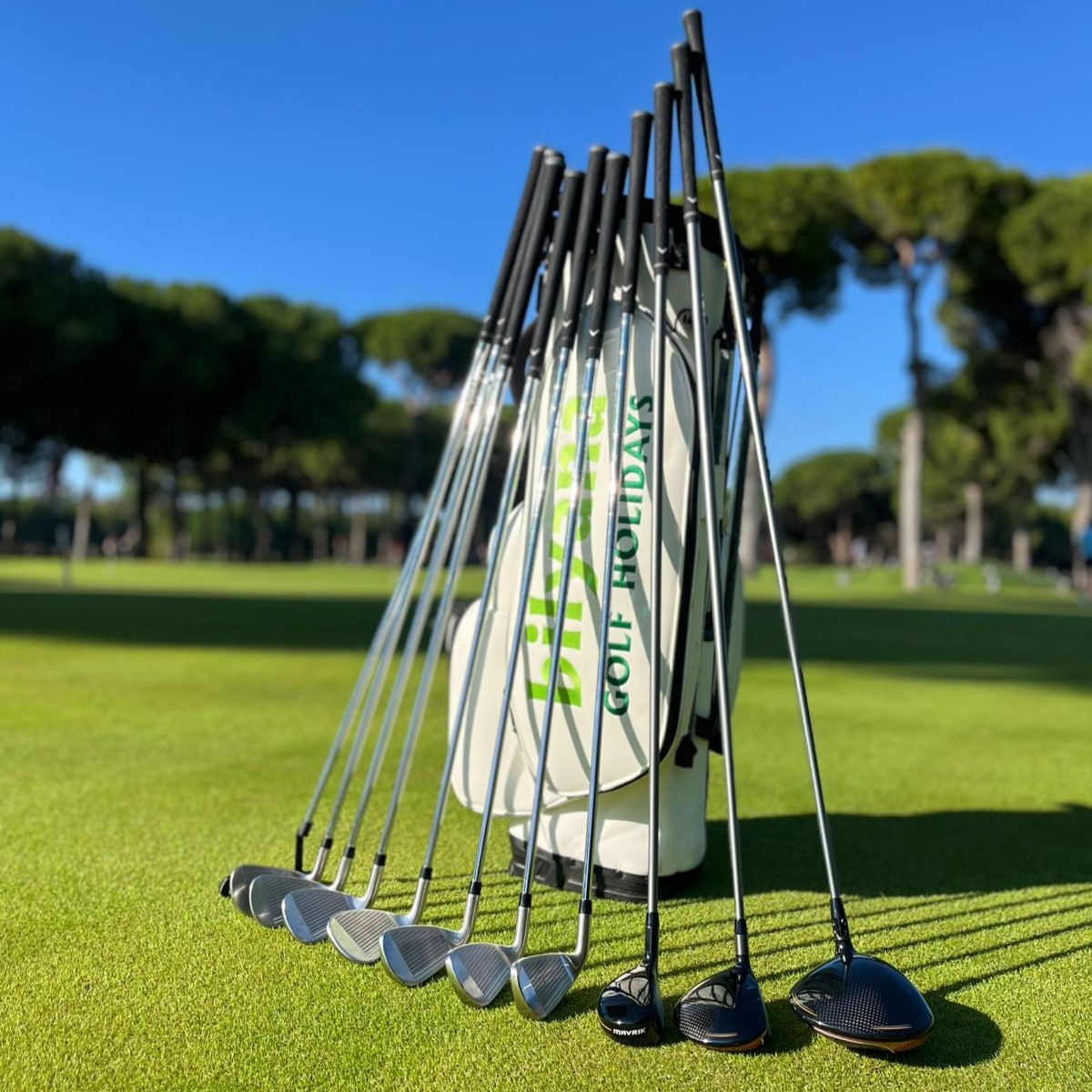 https://ipagepayment4.bilyanagolf.com/files/imaj/clubhire1.jpg